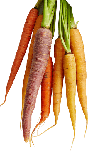 Carrots