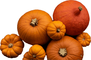 Pumpkins