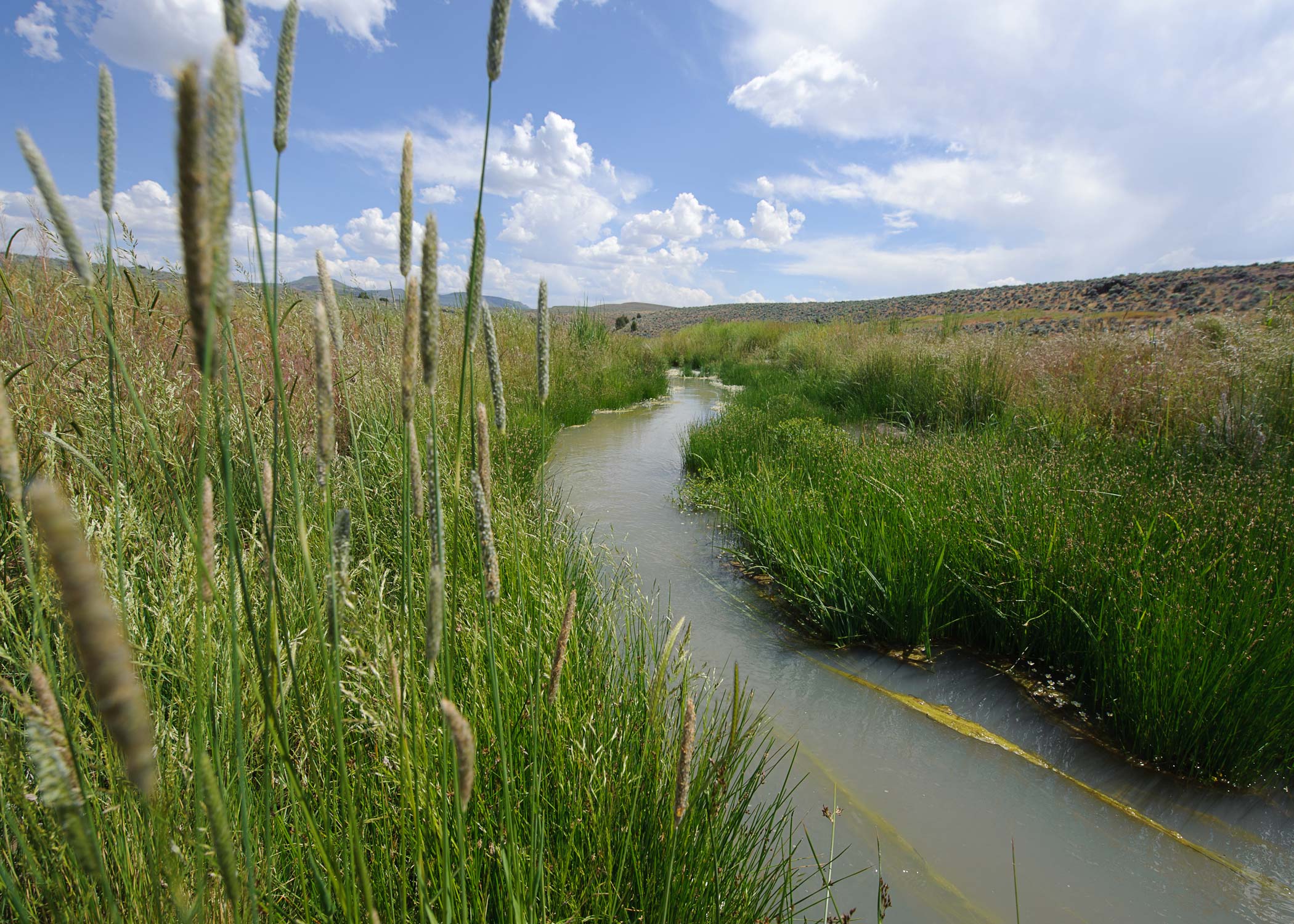 Reflections on Water and Agriculture