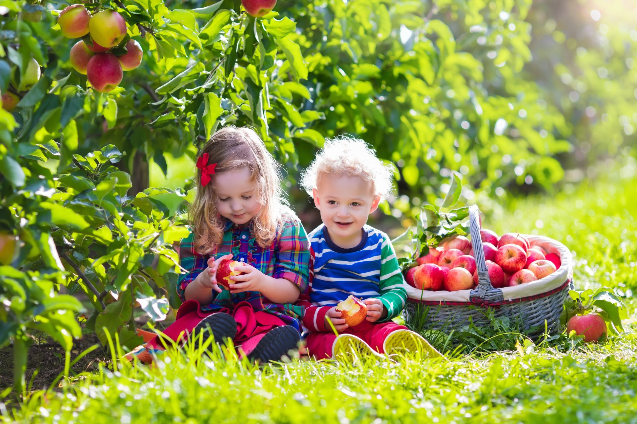American Farmland Trust and the State of New York Announce Grant Awards to Help Bring a New Generation of Farmers onto the Land
