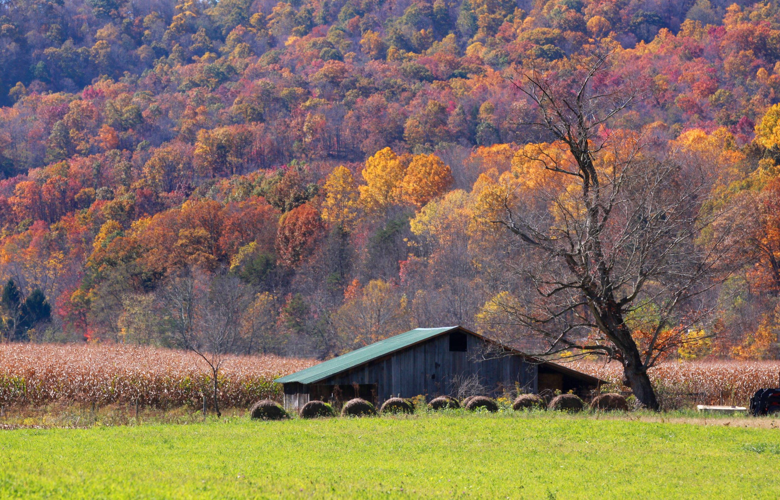American Farmland Trust and USDA’s NRCS Announce Agreement to Increase Conservation on Agricultural Land in Massachusetts  