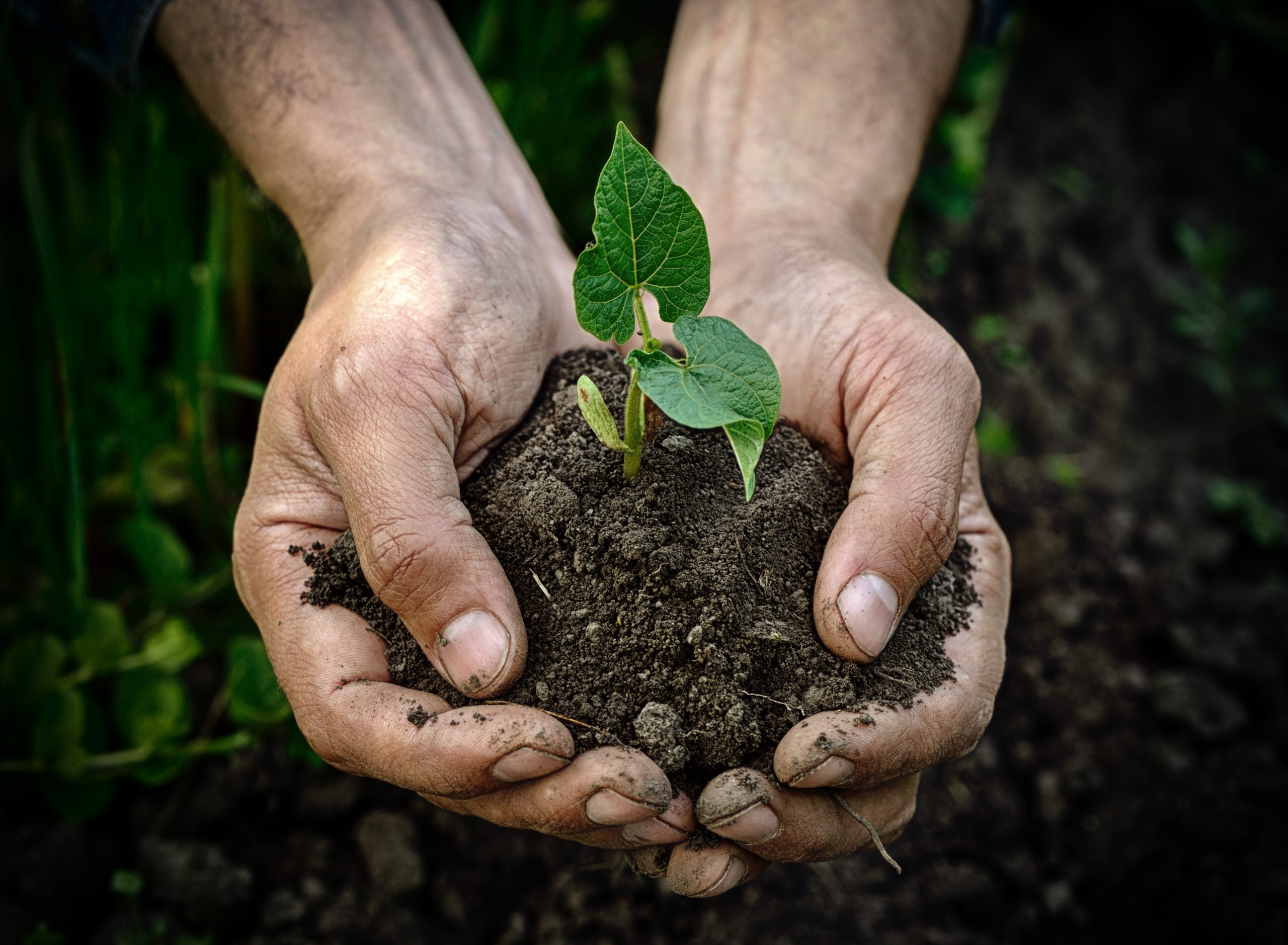 American Farmland Trust Applauds State Leaders for Investments in State Budget to Support New York Farmers in Addressing Climate Change