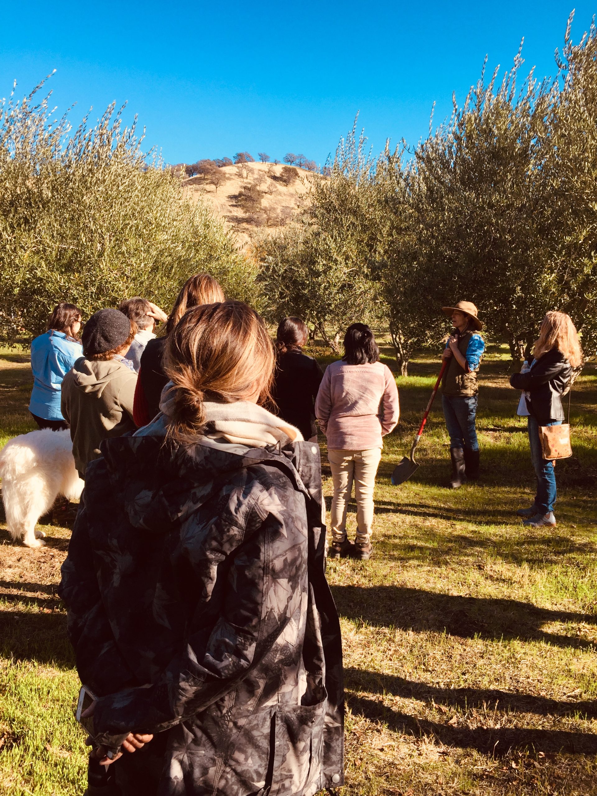 American Farmland Trust California Launches “Women for the Land” to Empower Women Landowners