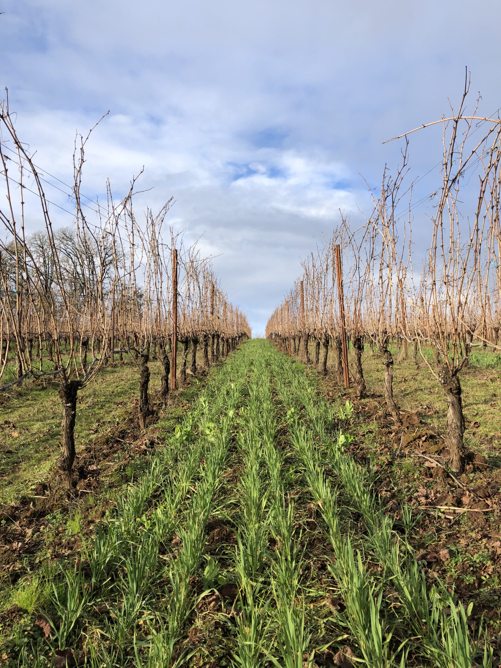AFT Helps Scale Up Soil Health in Pacific Northwest