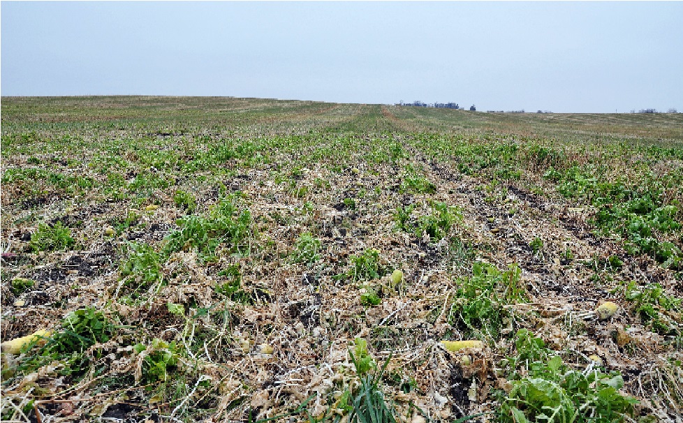 USDA grants American Farmland Trust $2.6 million to improve soil health practice adoption on farms from coast to coast