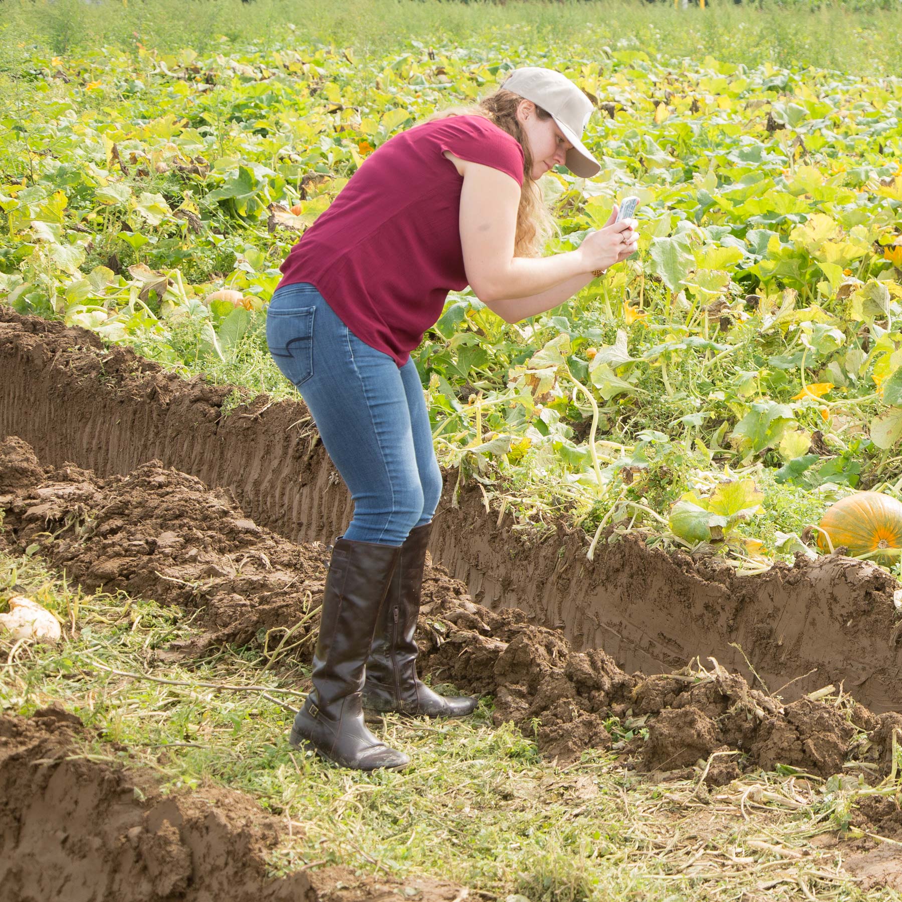 American Farmland Trust to Host Women’s Learning Circle on Accessing Conservation Programs in October, Register Now 