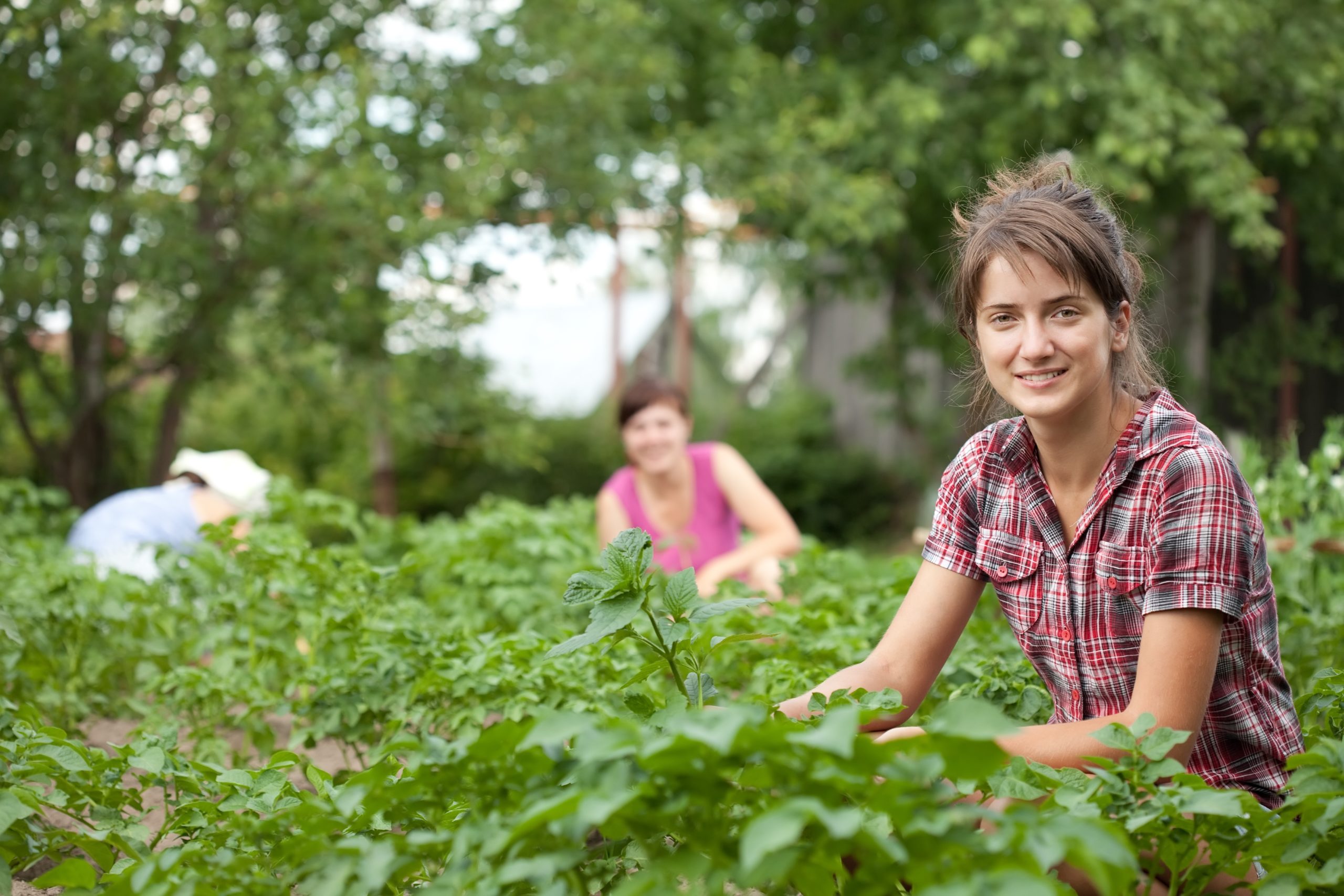American Farmland Trust and Sustainable Agriculture Research & Education Publish Guide on Virtual Engagement for Women