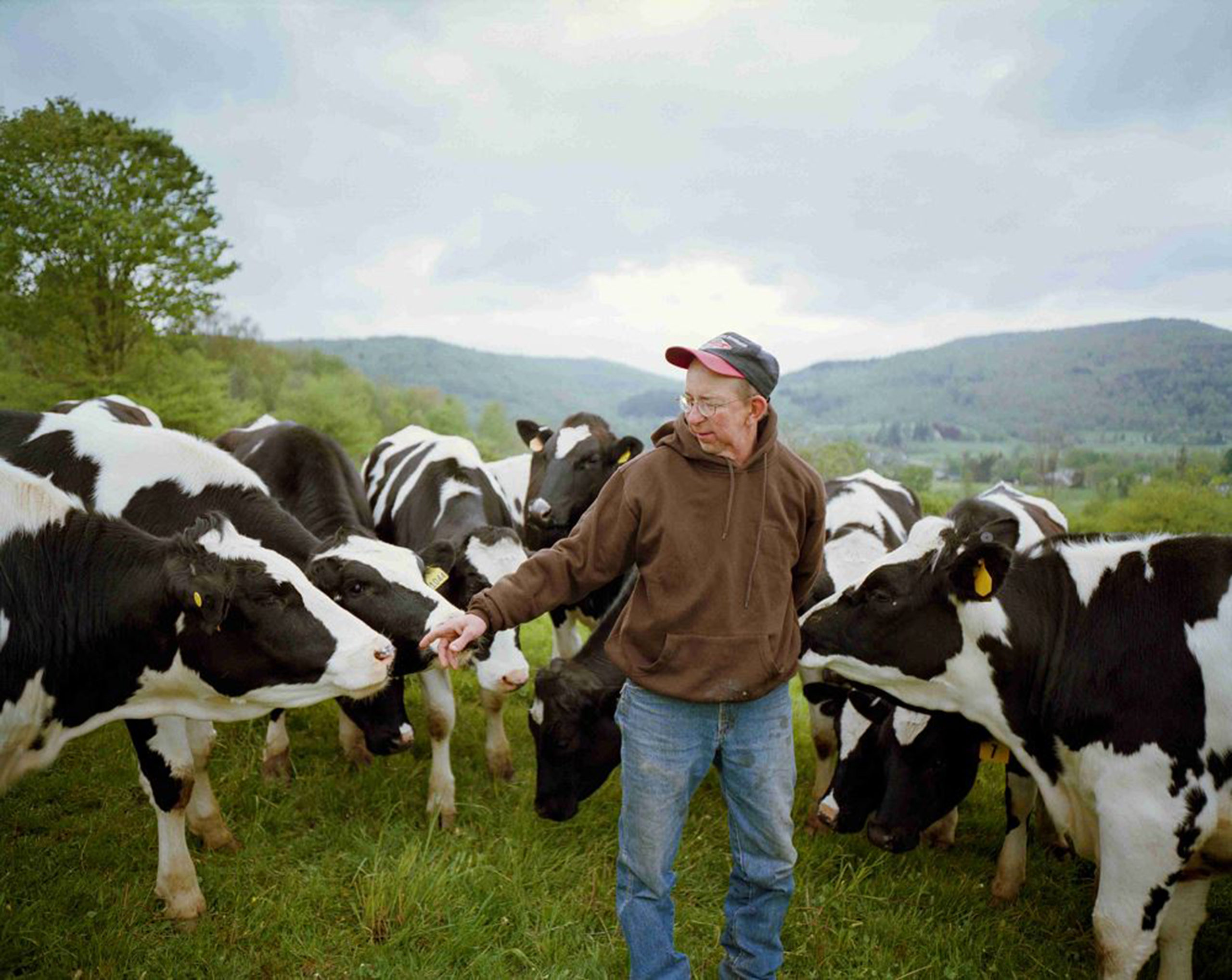 Could Investing in Farmland Protection Help Save America’s Dairy Farms? 