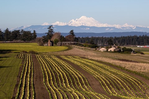 AFT Teams with Puget Sound Partnership to Strengthen the Viability of Agriculture