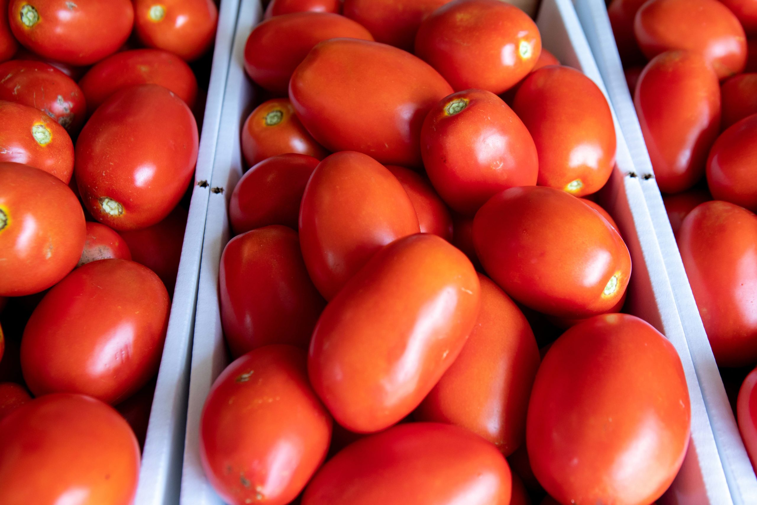 Dec. 4, 2018: After Midterms, Farm Bill Talks Speed Up