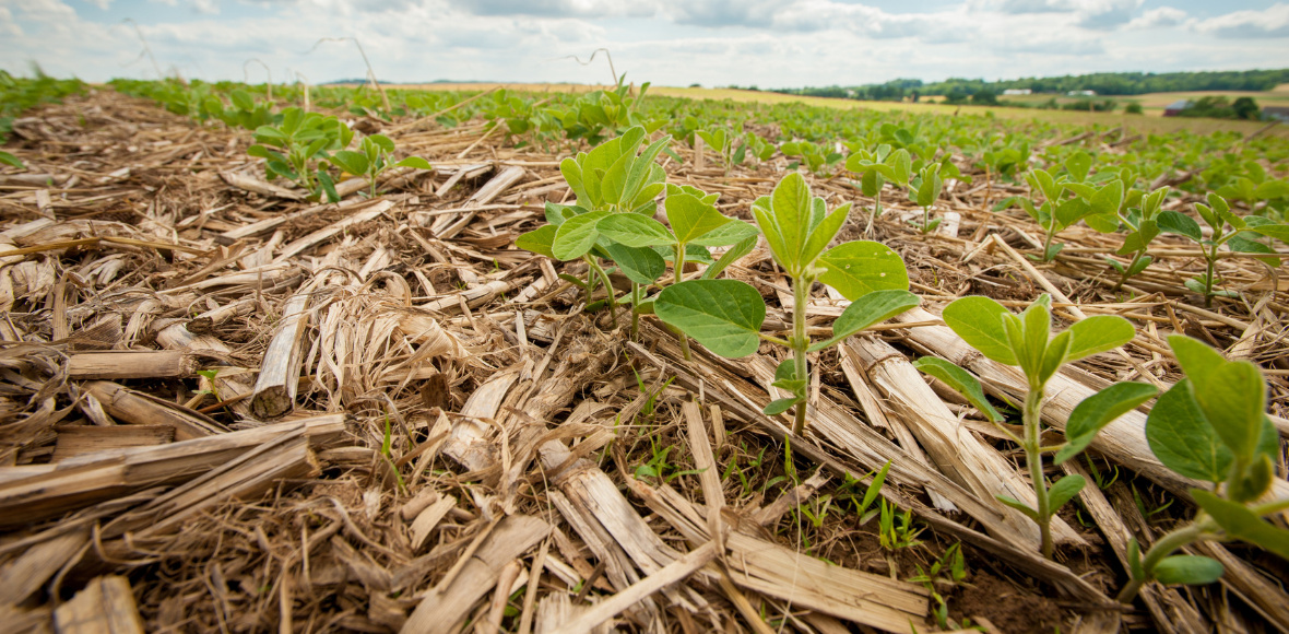 American Farmland Trust Applauds New USDA Actions to Address Climate Change through Conservation Programs