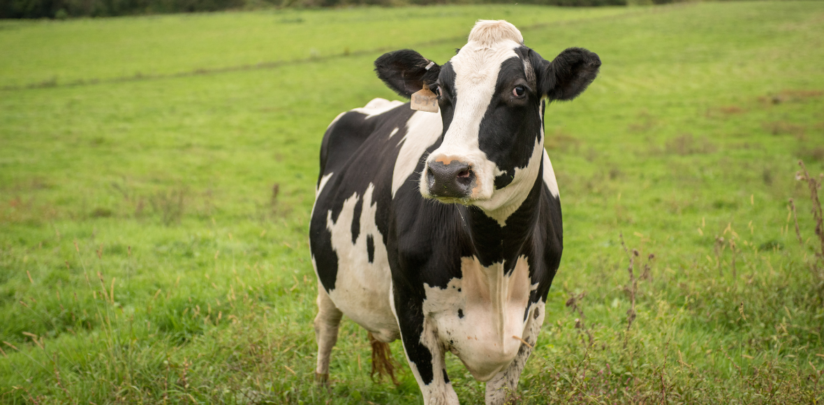 Feb. 6, 2019: USDA Reopen After Partial Government Shutdown, New Ag Committee Assignments