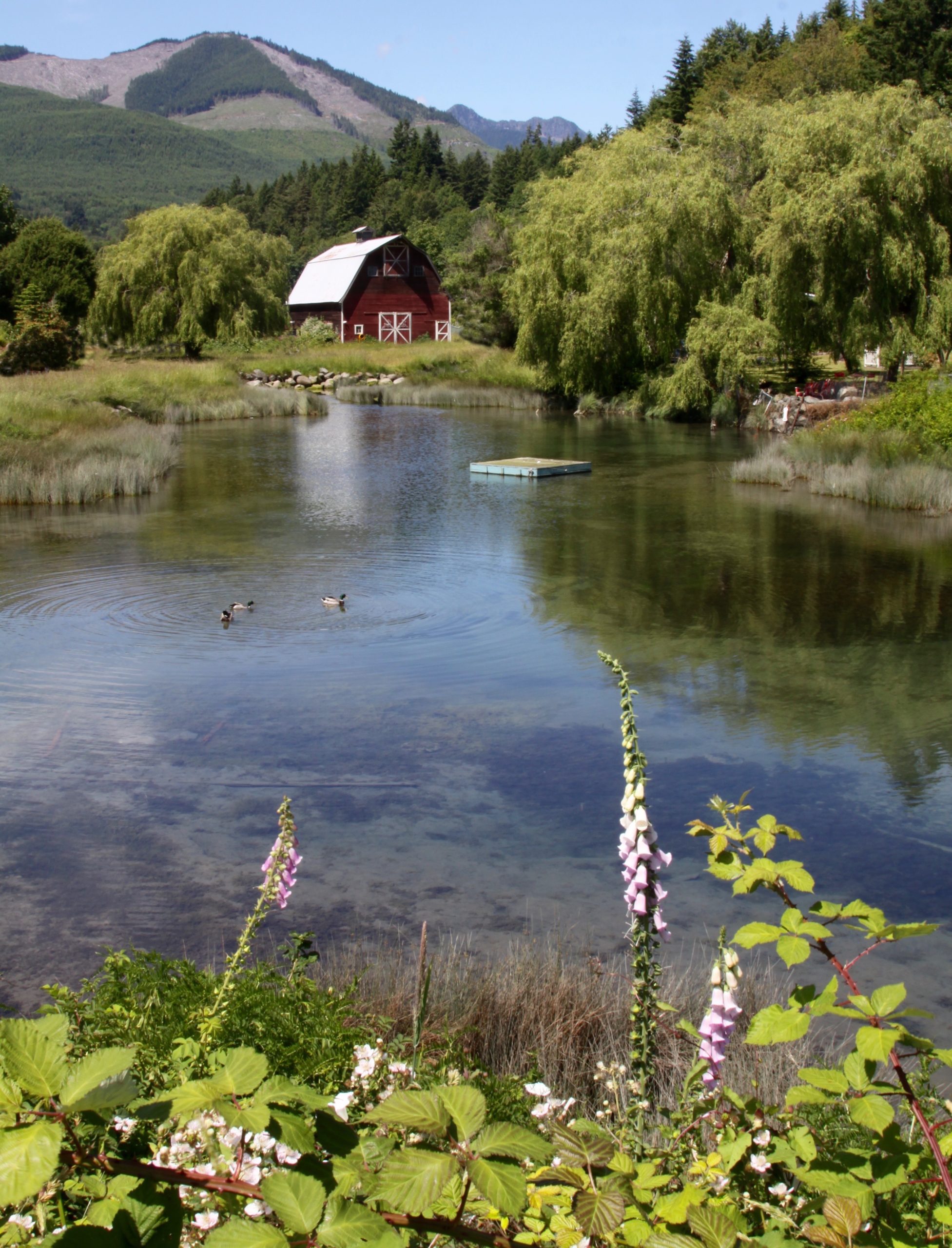 Governor Cuomo’s Budget Proposal A Good Start for Farmers and Farmland