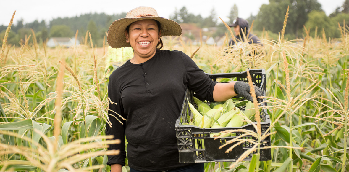 American Farmland Trust to Host Agricultural Water Management Workshop in Salinas, California  