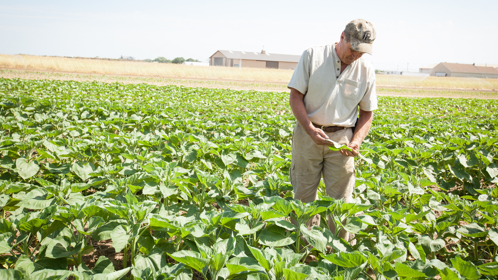 Update: Groundbreaking Climate Legislation Signed into Law by Governor Cuomo