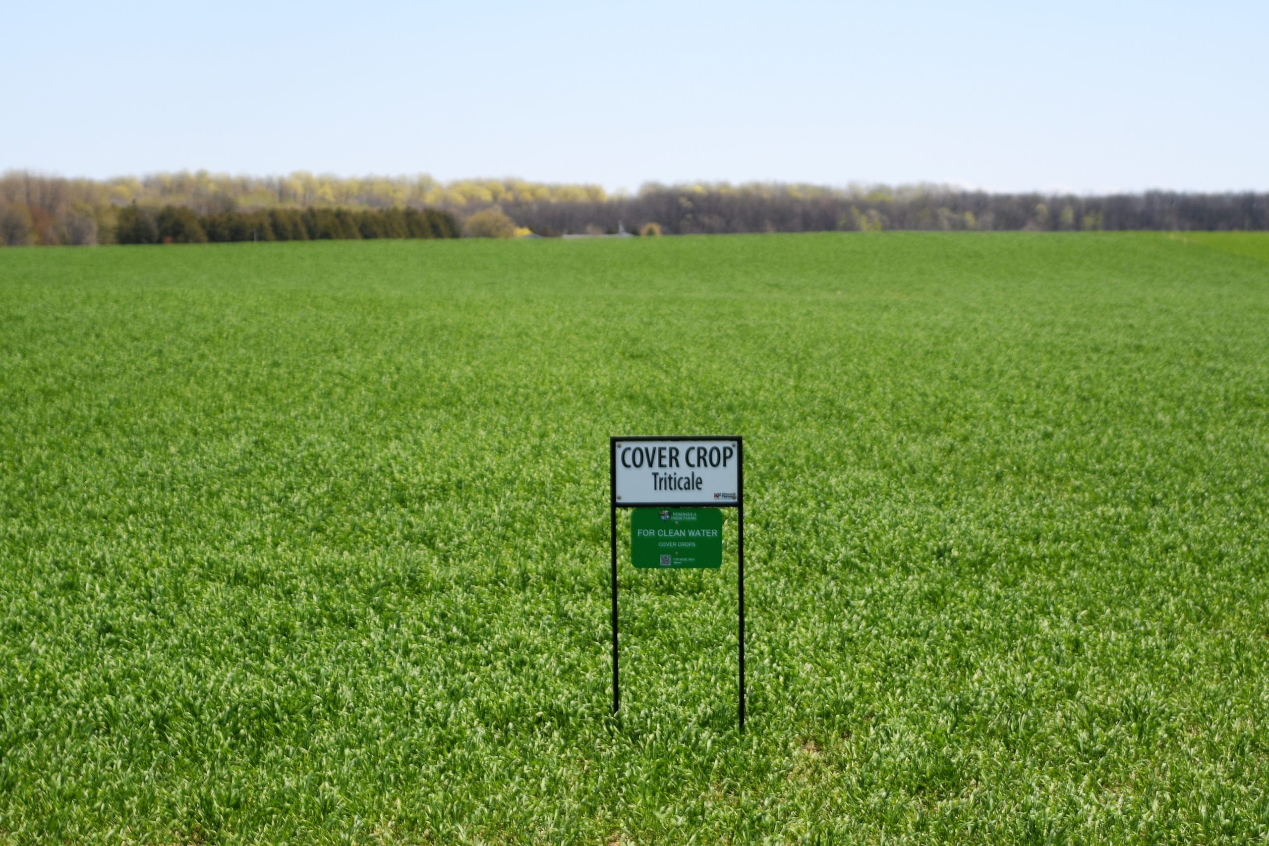 Can Adopting Conservation Practices Make Farming Less Risky?