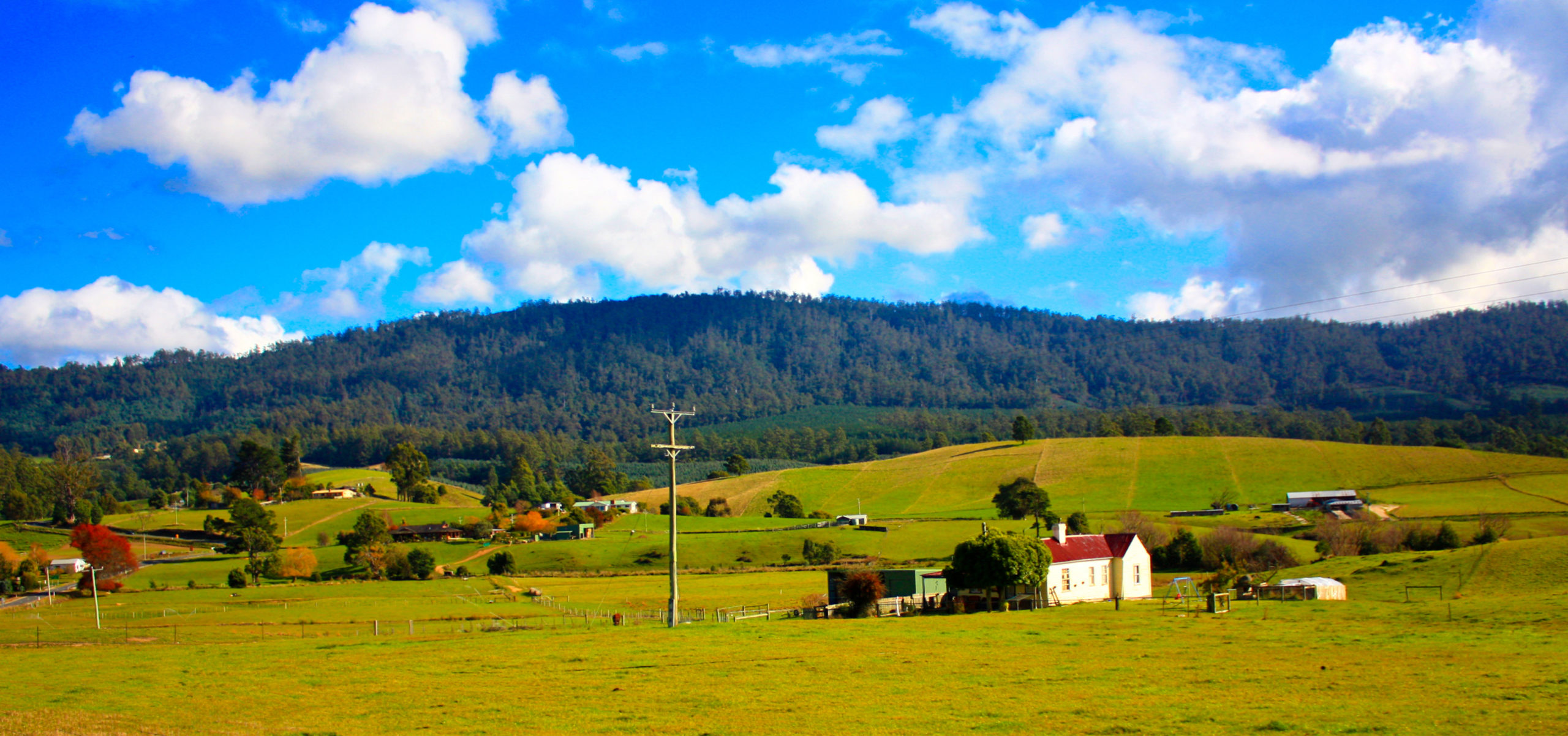 State Budget Offers Good News for Farmers Looking to Find and Protect Land in New York