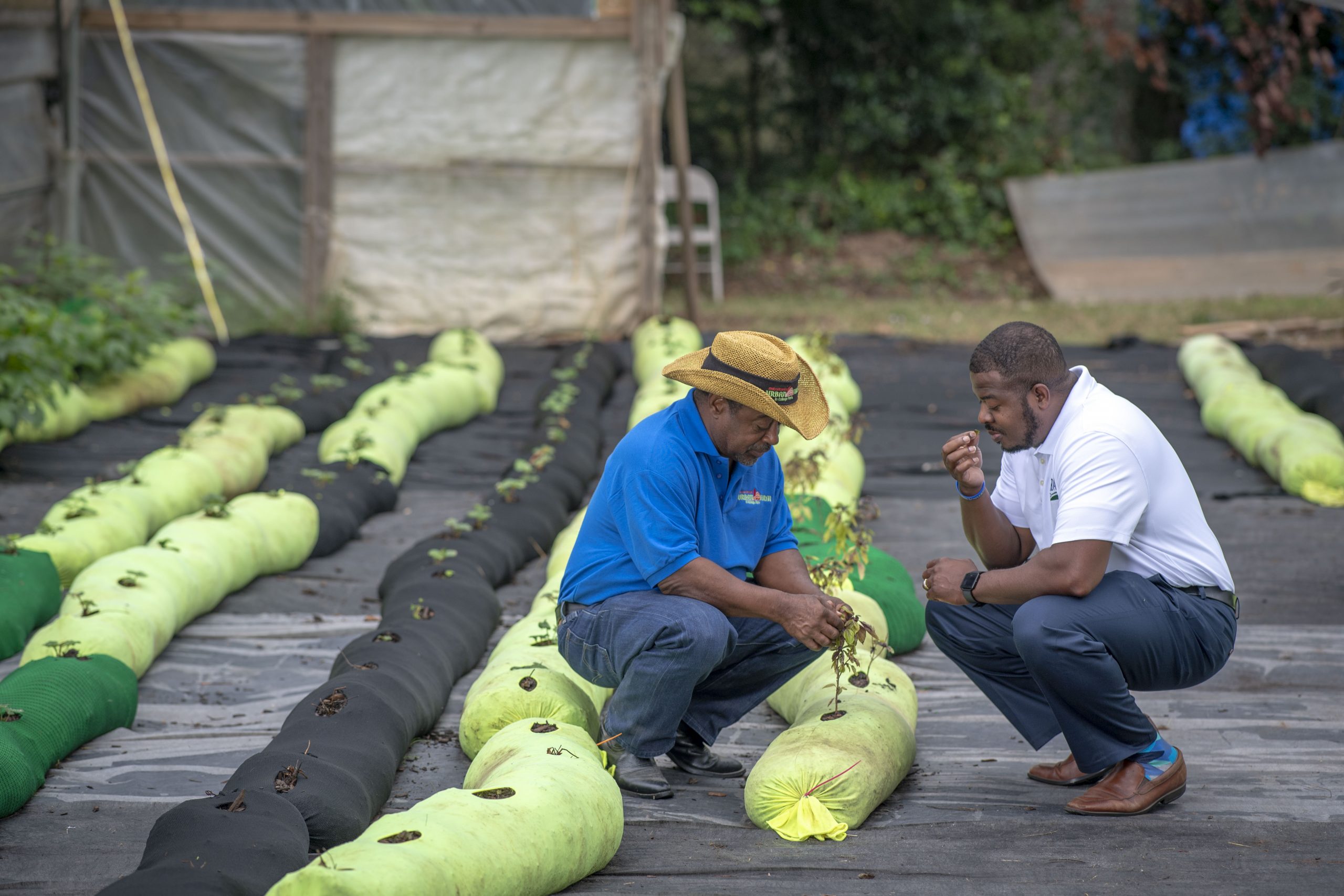 Policy Update: Justice for Black Farmers Act Seeks to Provide Opportunity and Remedy Injustice