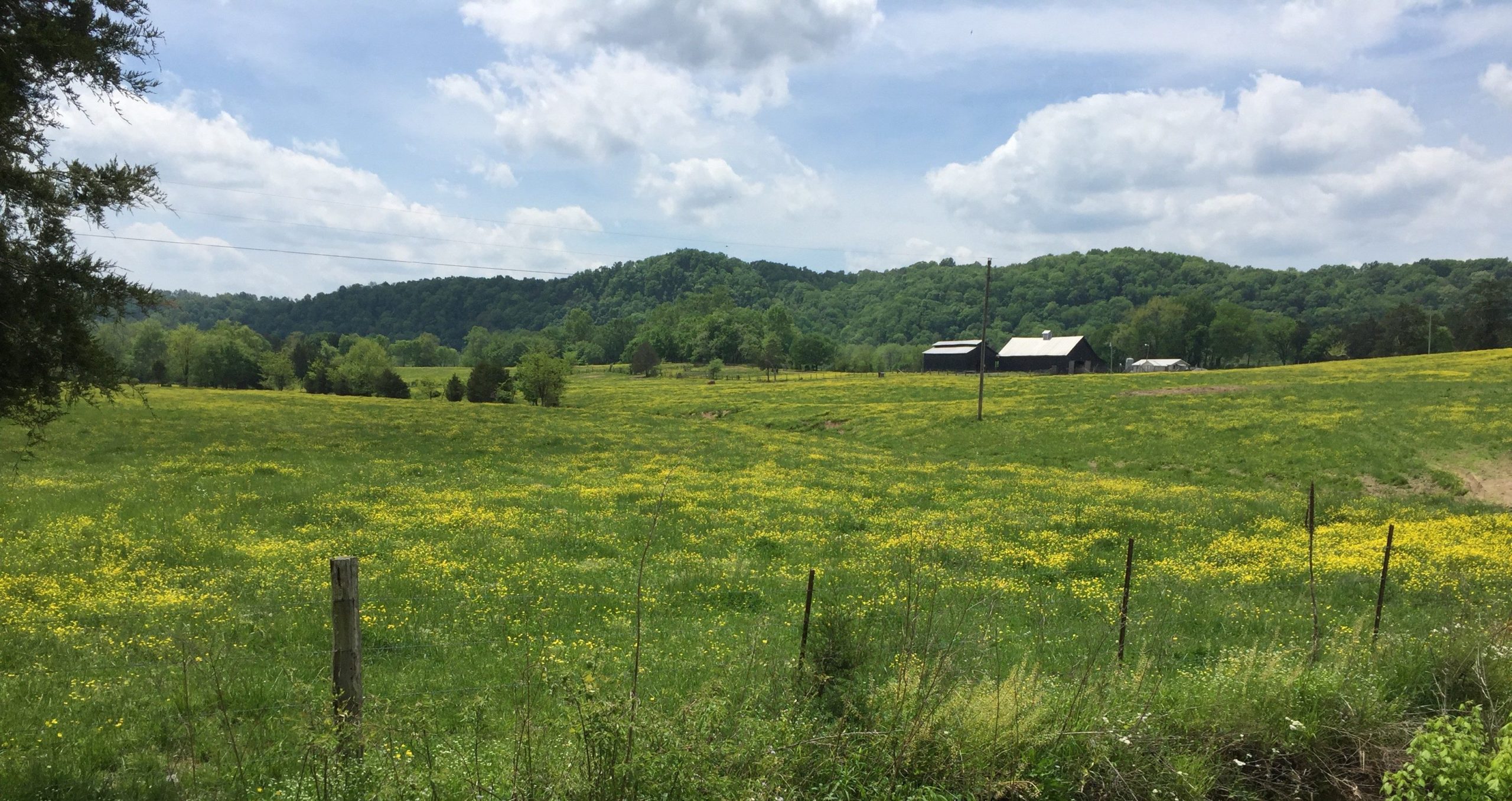 American Farmland Trust and the Hudson Valley Farmlink Network Celebrate Fifth Anniversary, 175 Farmer Matches