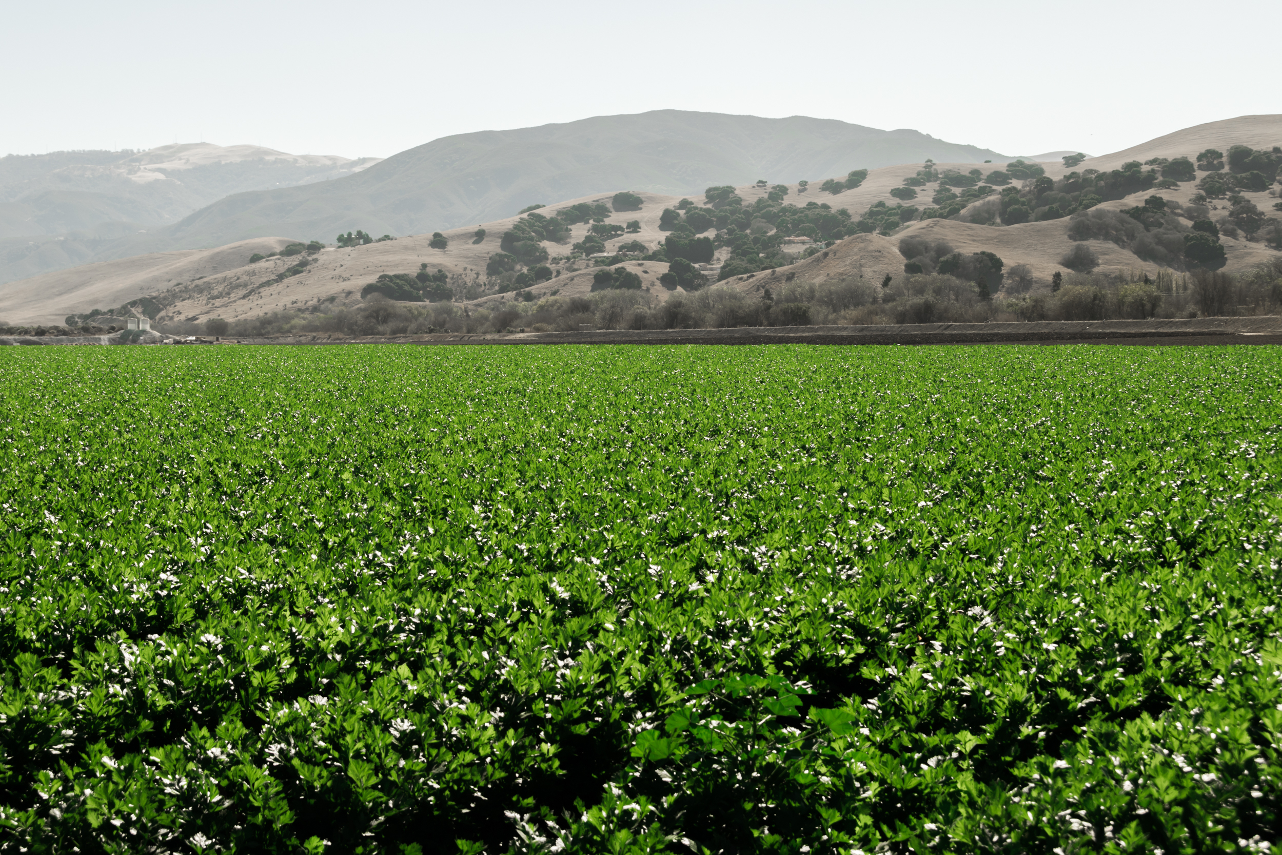 American Farmland Trust Awarded Conservation Innovation Grant to expand San Joaquin Land and Water Strategy