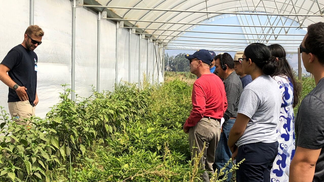 New AFT Underserved Farmer Outreach Program Kicks Off in California
