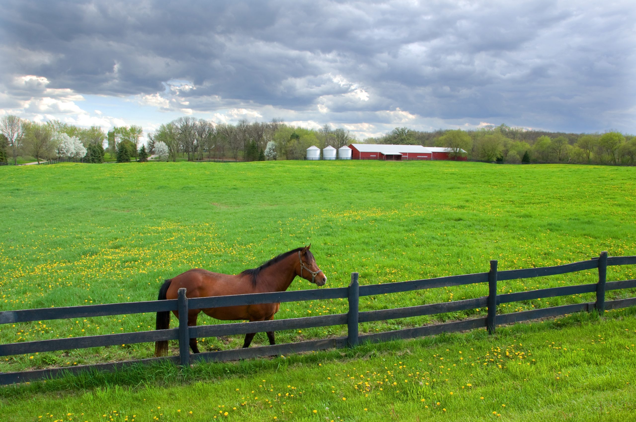 American Farmland Trust Sponsors 2020 Breeders Cup to Call Attention to Farmland Protection on Equine Land