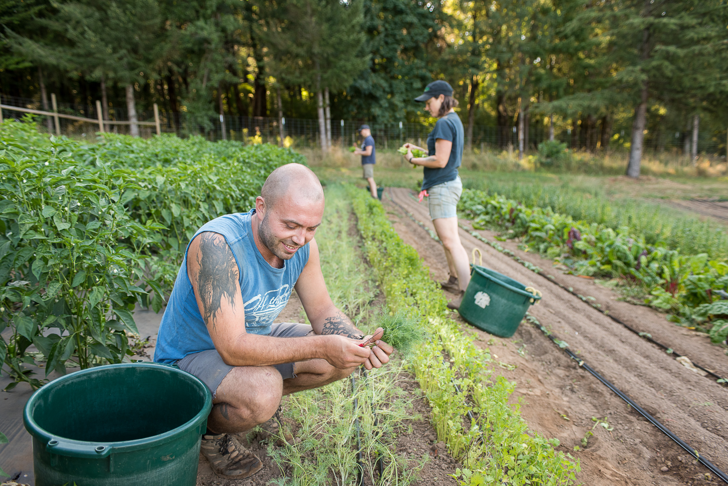 California Agriculture: Confronting a New Reality