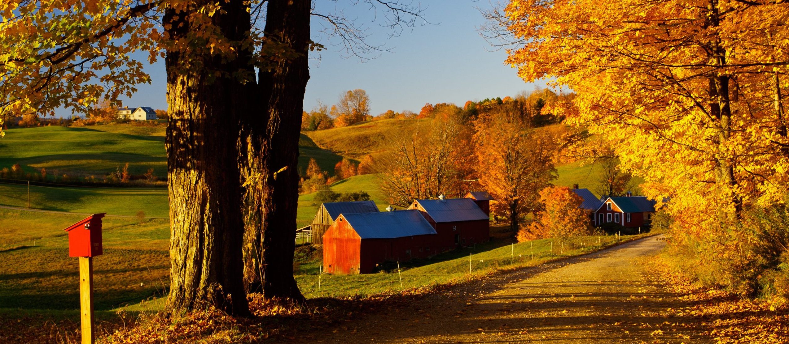 2023 New England Farmer Microgrants Program Applications Open