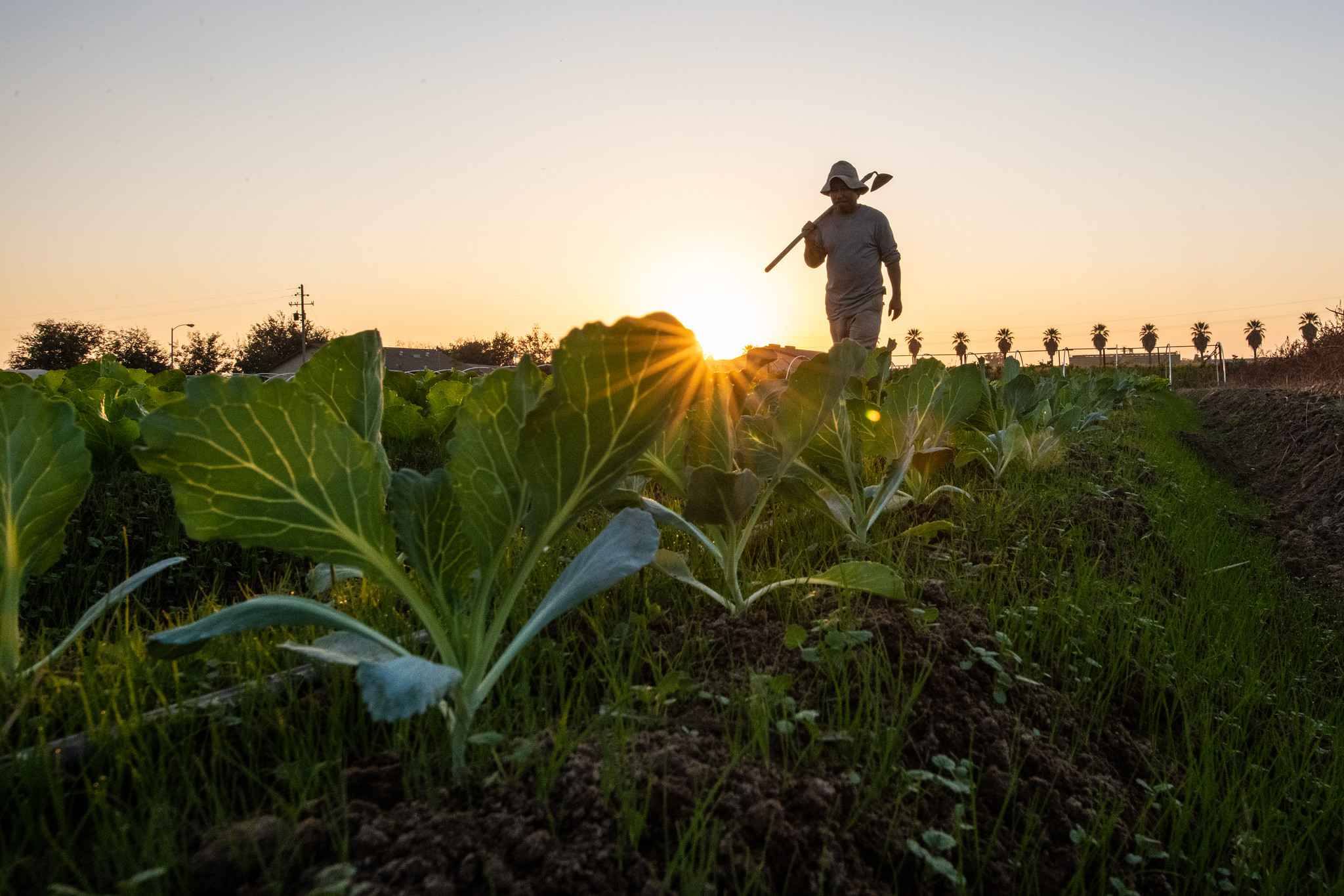 American Farmland Trust Applauds Rep. Pingree’s New Agriculture Resilience Act — Addressing Agriculture and Climate Change