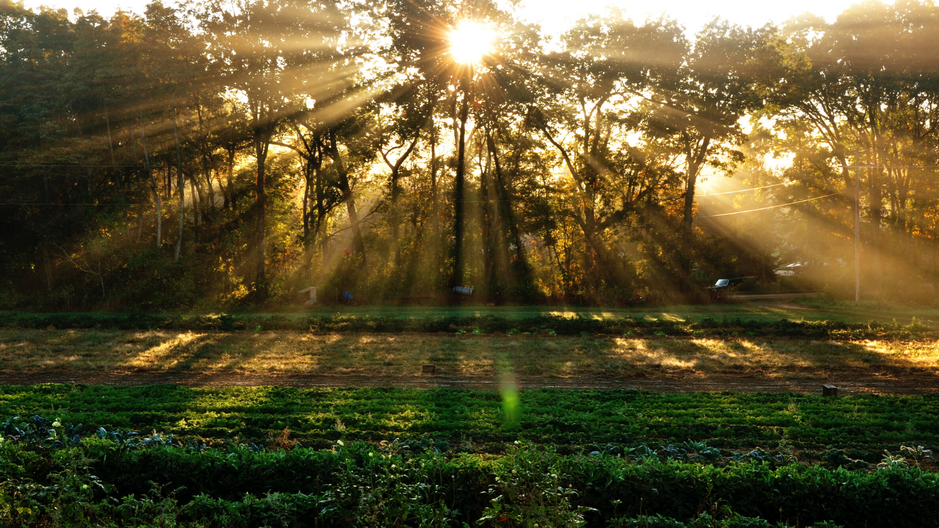 Centering People: Why I was inspired to join AFT in the effort to foster equity in agriculture