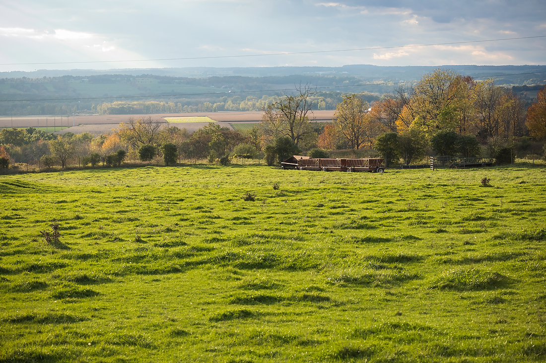 When Good Data Gets Better, Revisions to Farms Under Threat: The State of America’s Farmland