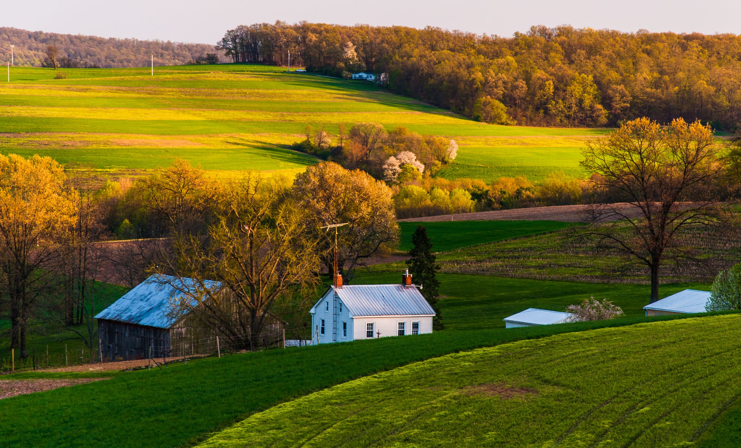 What’s at stake when we pave over, fragment and otherwise fail to protect Virginia’s farmland from the disruptions of development?