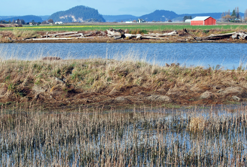 What’s at stake when we pave over, fragment and otherwise fail to protect Washington’s farmland from the disruptions of development?