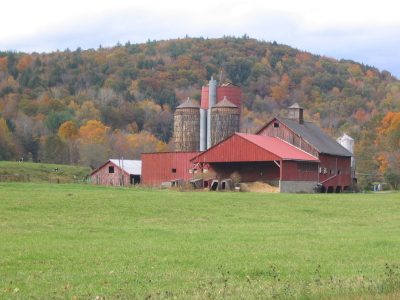 What’s at stake when we pave over, fragment and otherwise fail to protect Wisconsin’s farmland from the disruptions of development?