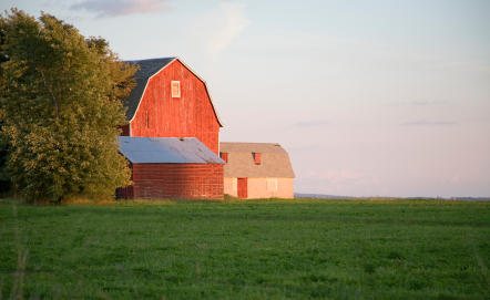 What’s at stake when we pave over, fragment and otherwise fail to protect Indiana’s farmland from the disruptions of development?