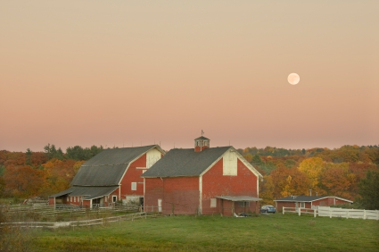 What’s at stake when we pave over, fragment and otherwise fail to protect Michigan’s farmland from the disruptions of development?