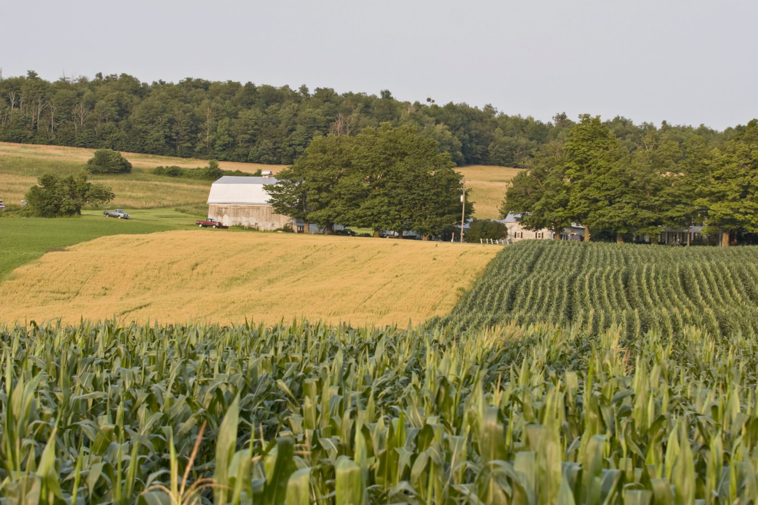 What’s at stake when we pave over, fragment and otherwise fail to protect Minnesota’s farmland from the disruptions of development?