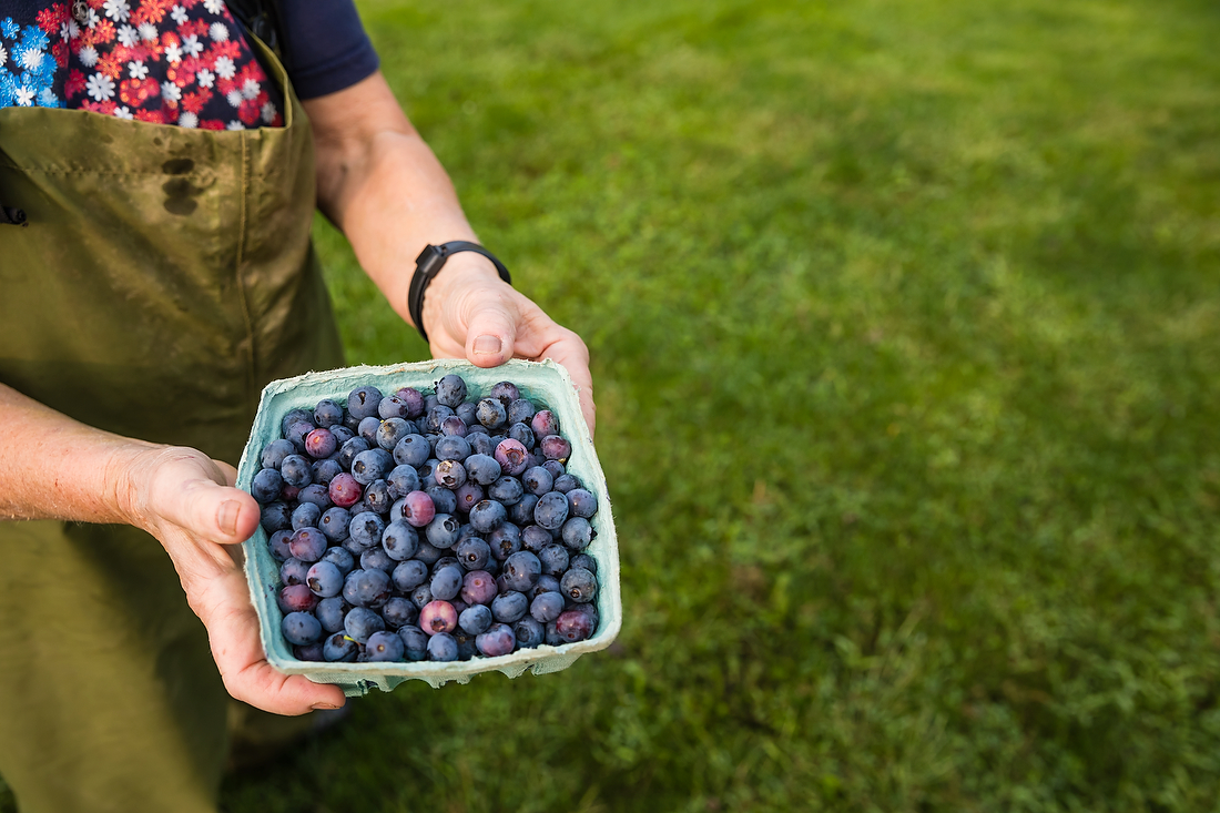 Policy Update: AFT Submits Comment on Organic Rule