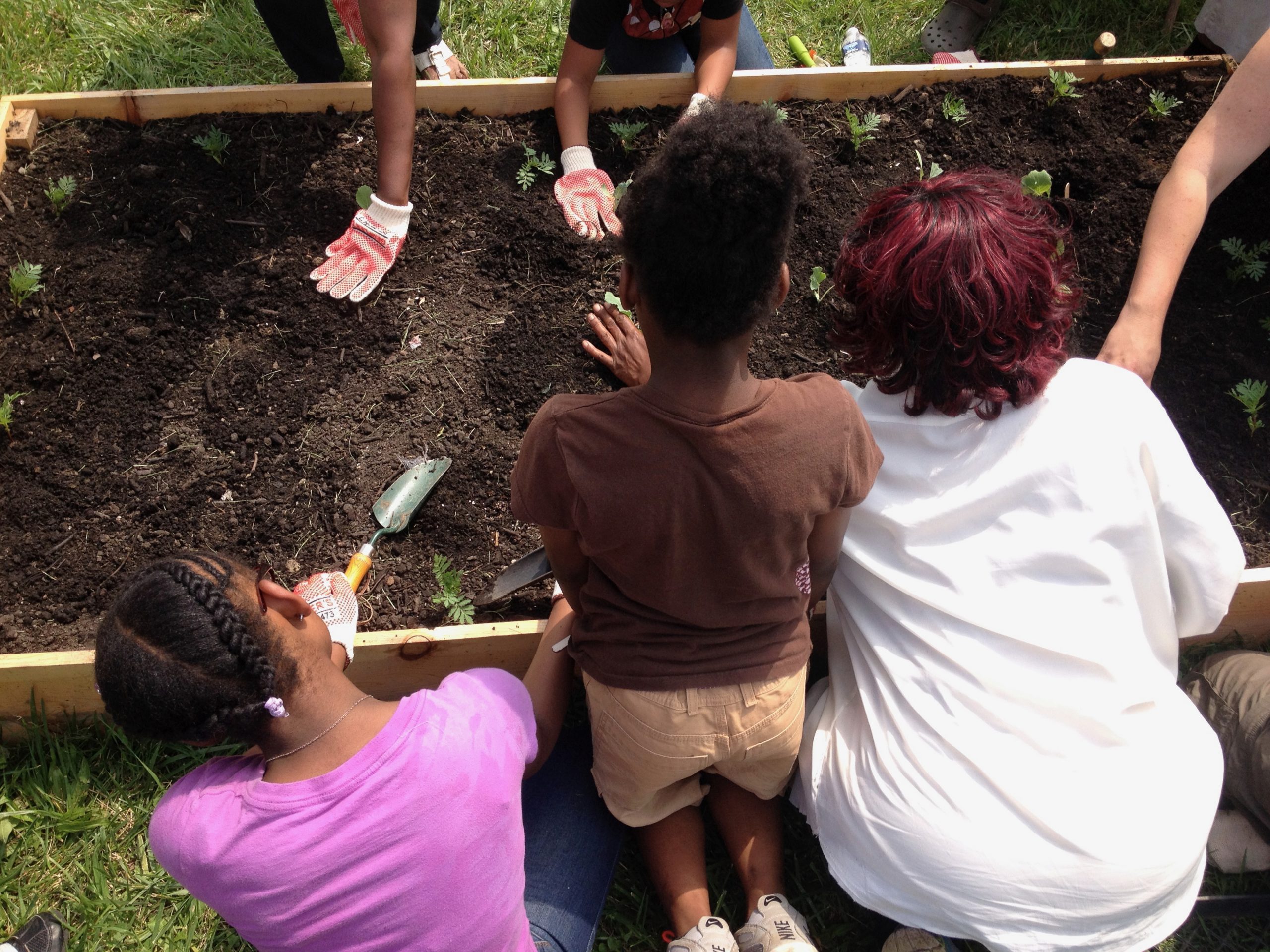 American Farmland Trust Statement on Solidarity