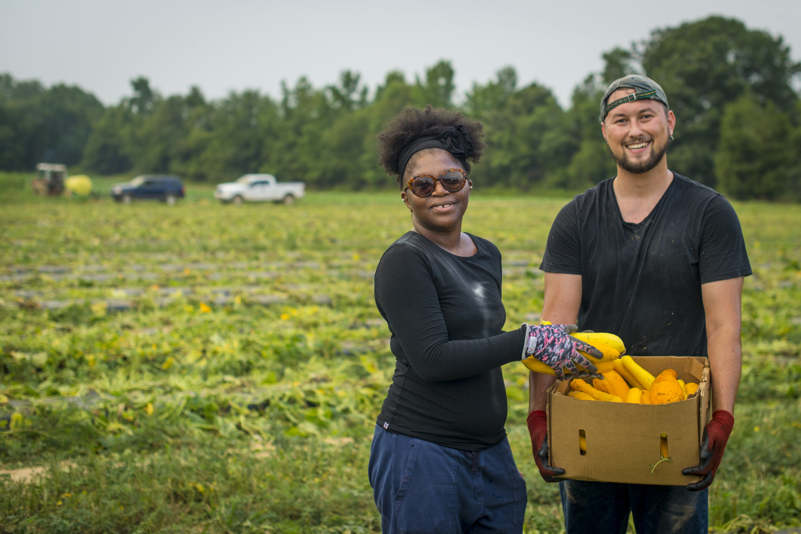 #AllForFarmers – AFT and Tillamook Partner for Farmers
