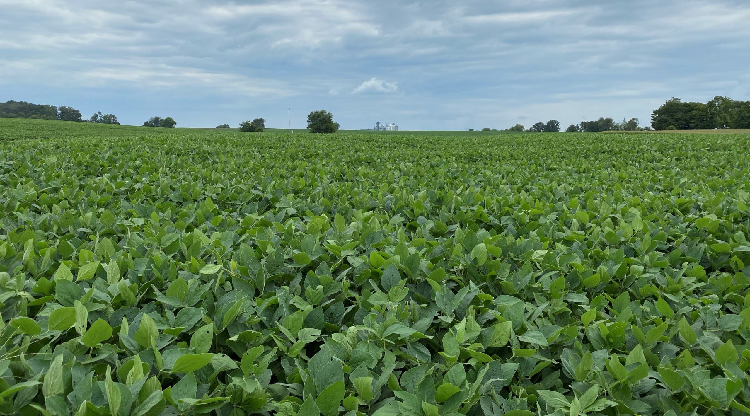 American Farmland Trust Opens Kentucky Office in Partnership with Brown-Forman