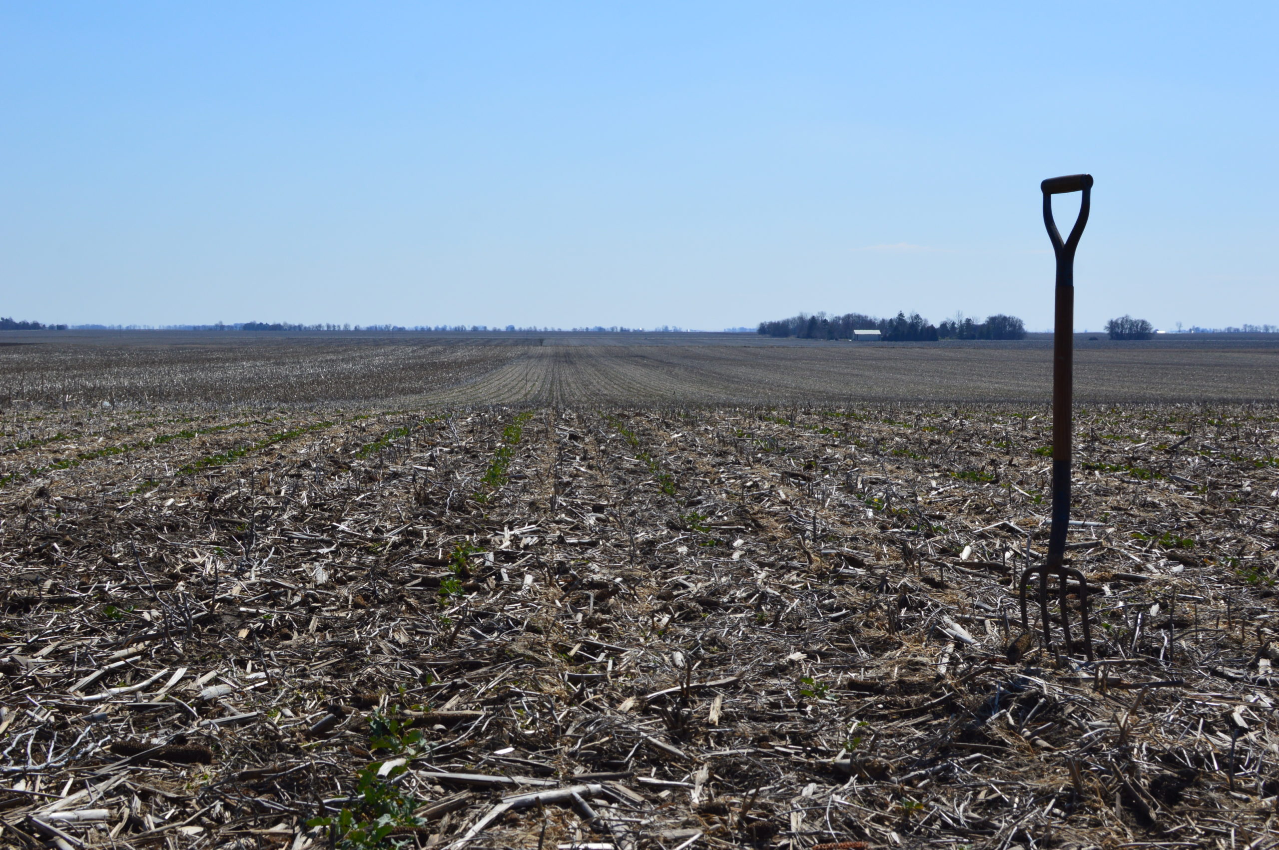 American Farmland Trust Partners with The Nature Conservancy to Provide Over $100,000 for the Adoption of Regenerative Farming Practices and Water Conservation in Illinois