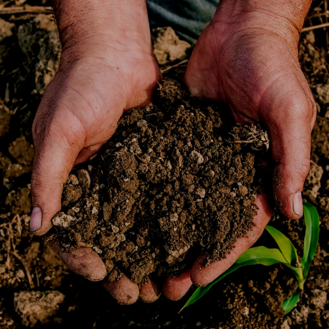 American Farmland Trust Shares Economic and Environmental Tool Kit to Quantify Soil Health Benefits
