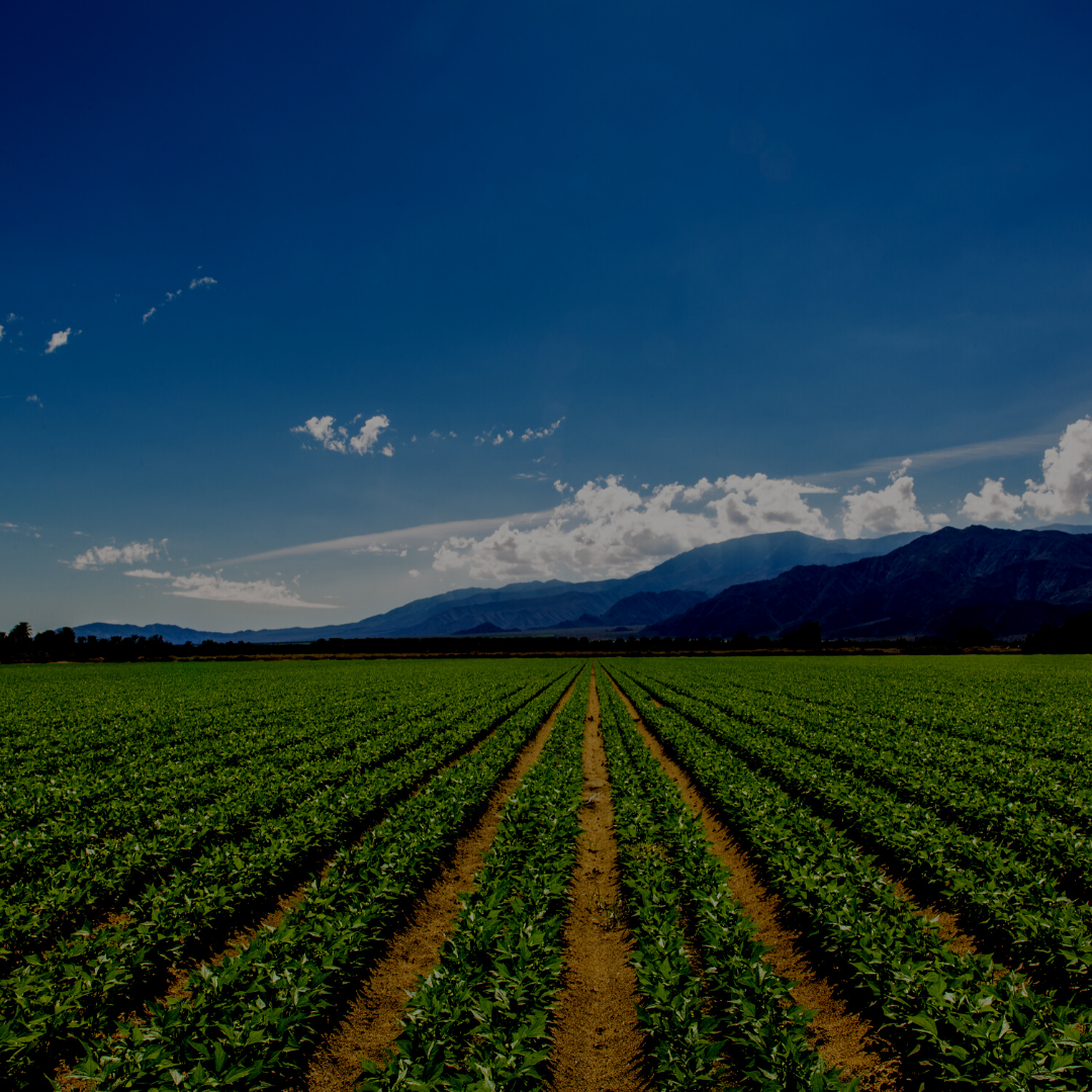 California Enters New Chapter of Agricultural Sustainability