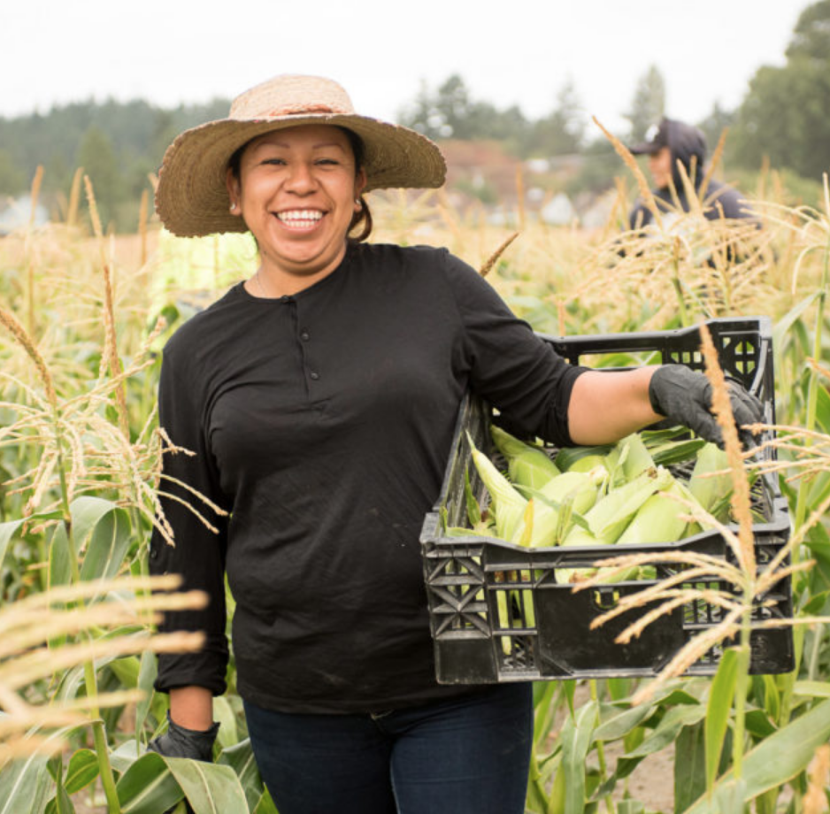 Veteran Women for the Land Project Releases Pacific Northwest Report