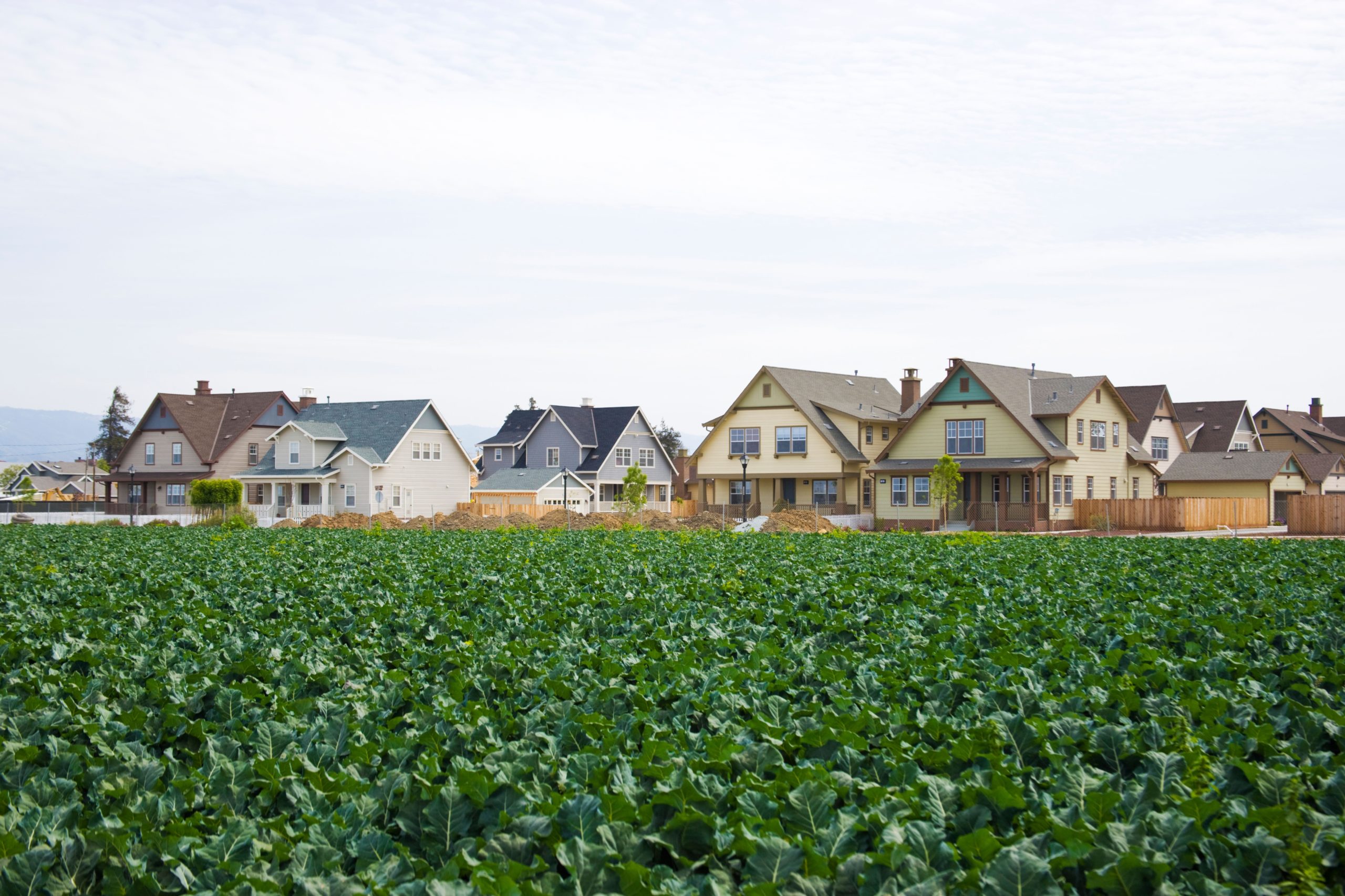 Getting Involved in the Golden State