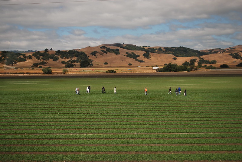 California Deserves An Equitable, Safe, and Resilient Food System
