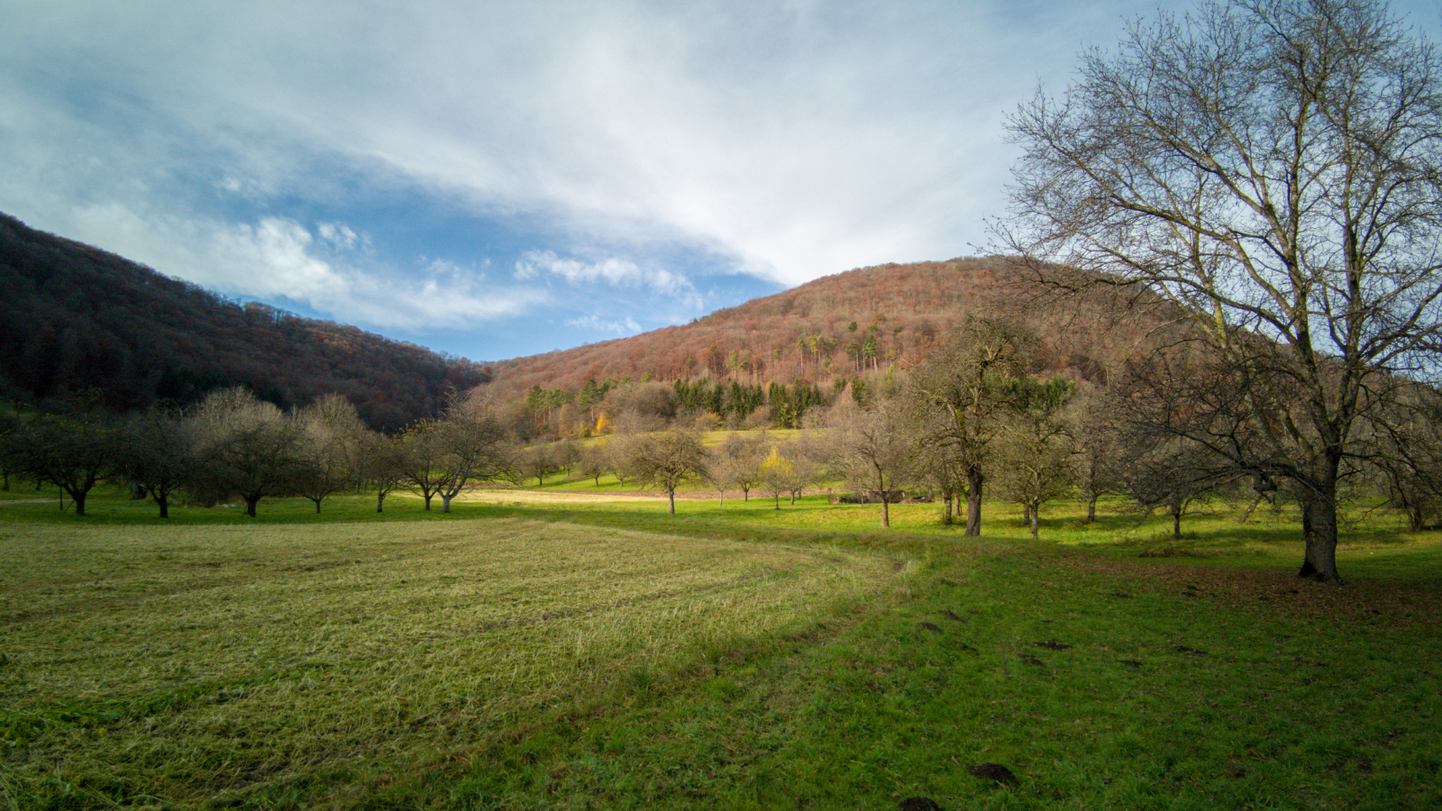 American Farmland Trust Calls on the Biden Administration to Protect and Conserve 30 Percent of Working Farmland and Ranchland to Achieve 30×30