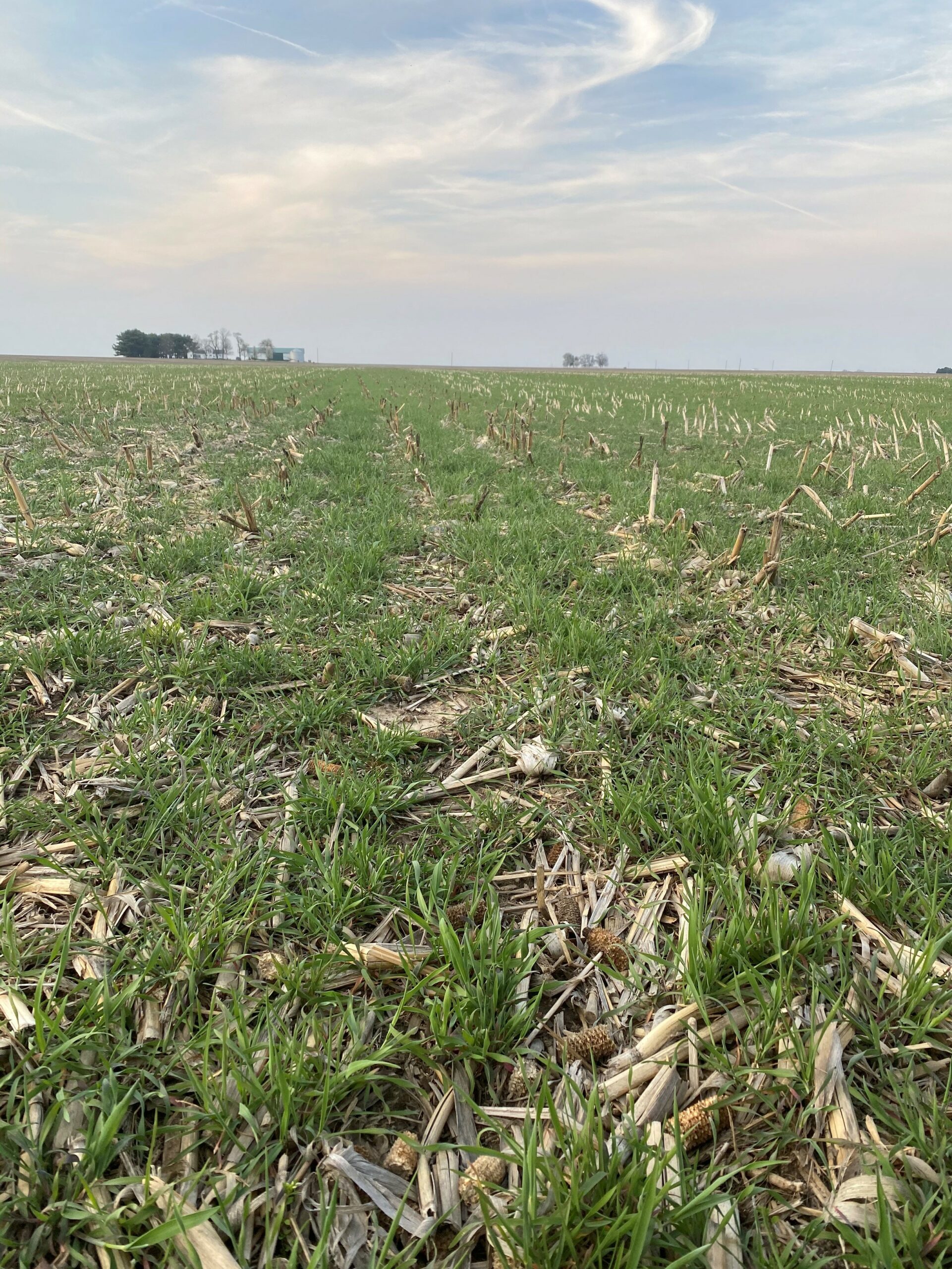 What Does $5 Get a Farmer?