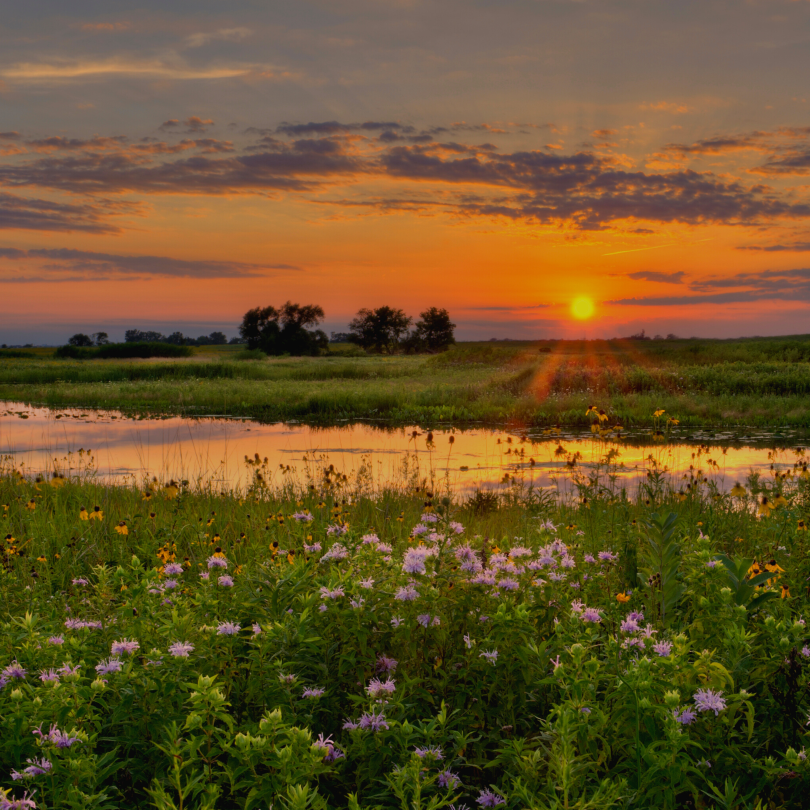 Introducing the New Midwest Philanthropy Officer Kara O’Connor